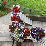Maison Vallomy Bed & Breakfast Lillianes