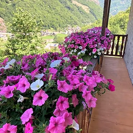 Maison Vallomy 3*