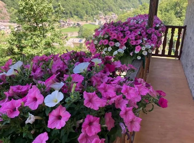 Maison Vallomy Bed & Breakfast Lillianes