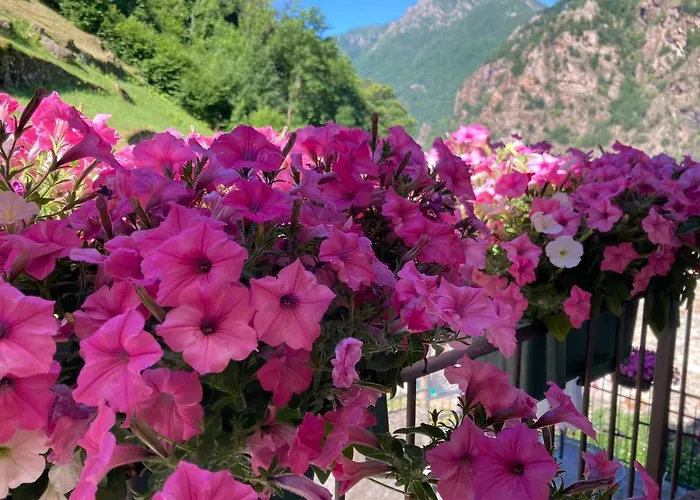 Maison Vallomy Bed & Breakfast Lillianes