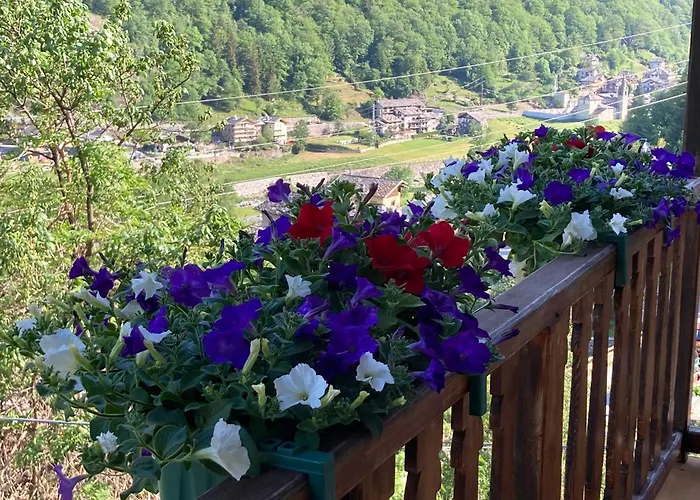 Bed & Breakfast Maison Vallomy