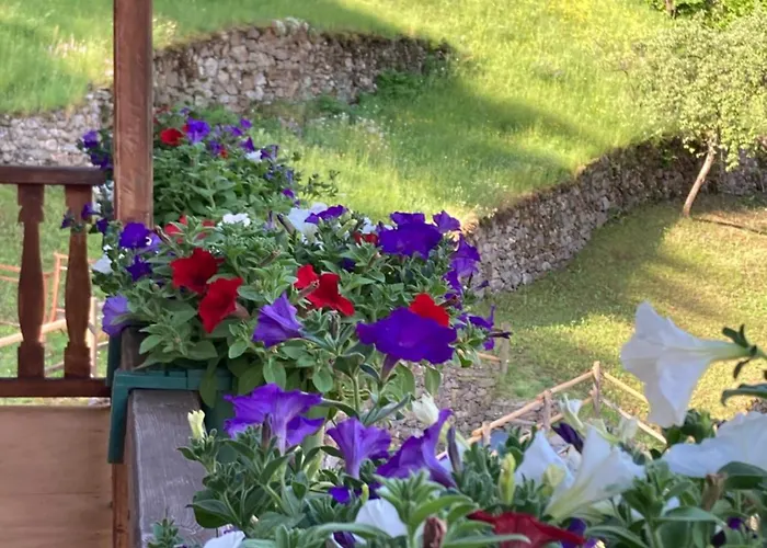 Bed & Breakfast Maison Vallomy