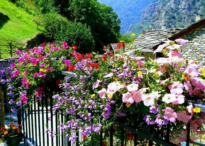 Maison Vallomy Bed & Breakfast Lillianes